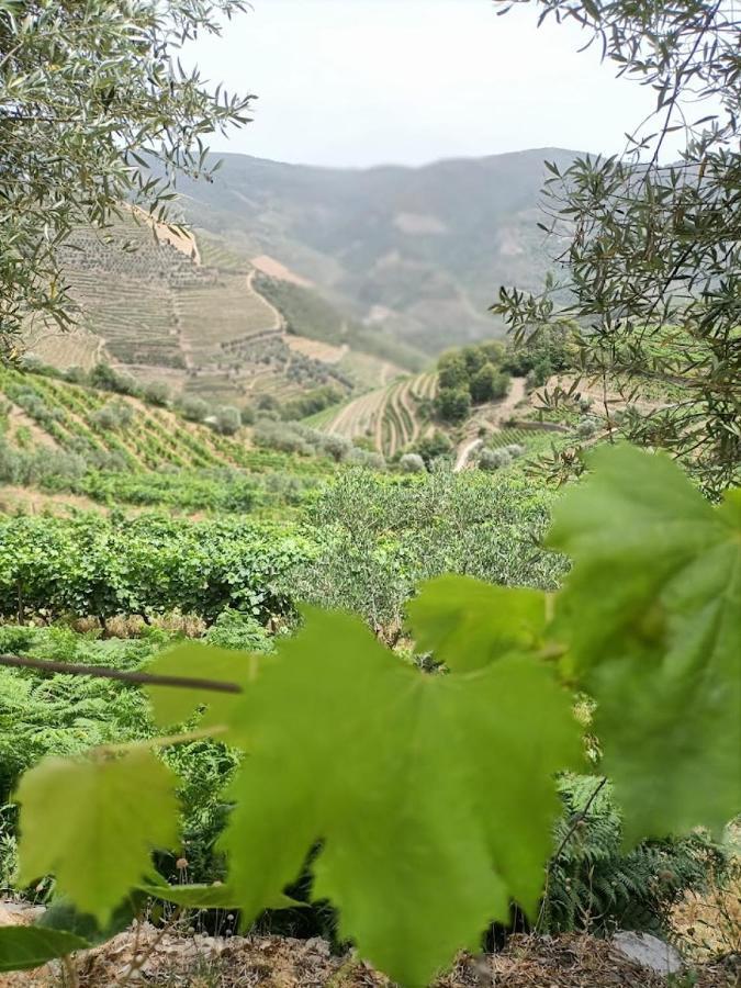 Holiday home Quinta Da Laceira - Douro Valley - Local